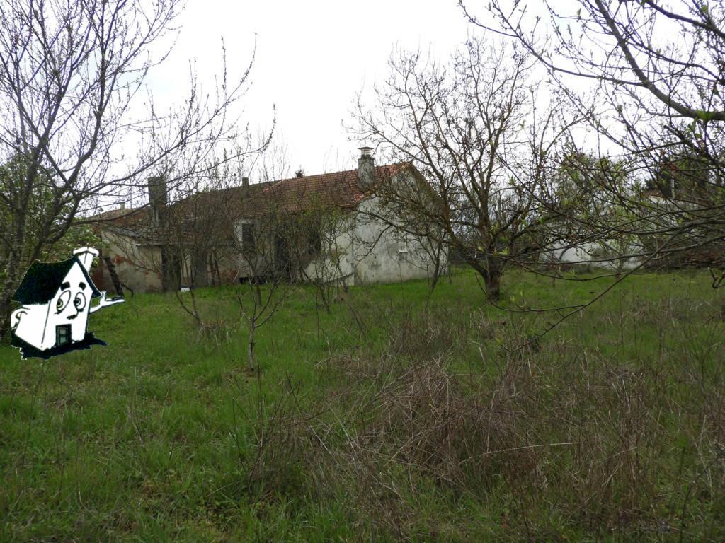 VENTA DE CASA - Imagen 4