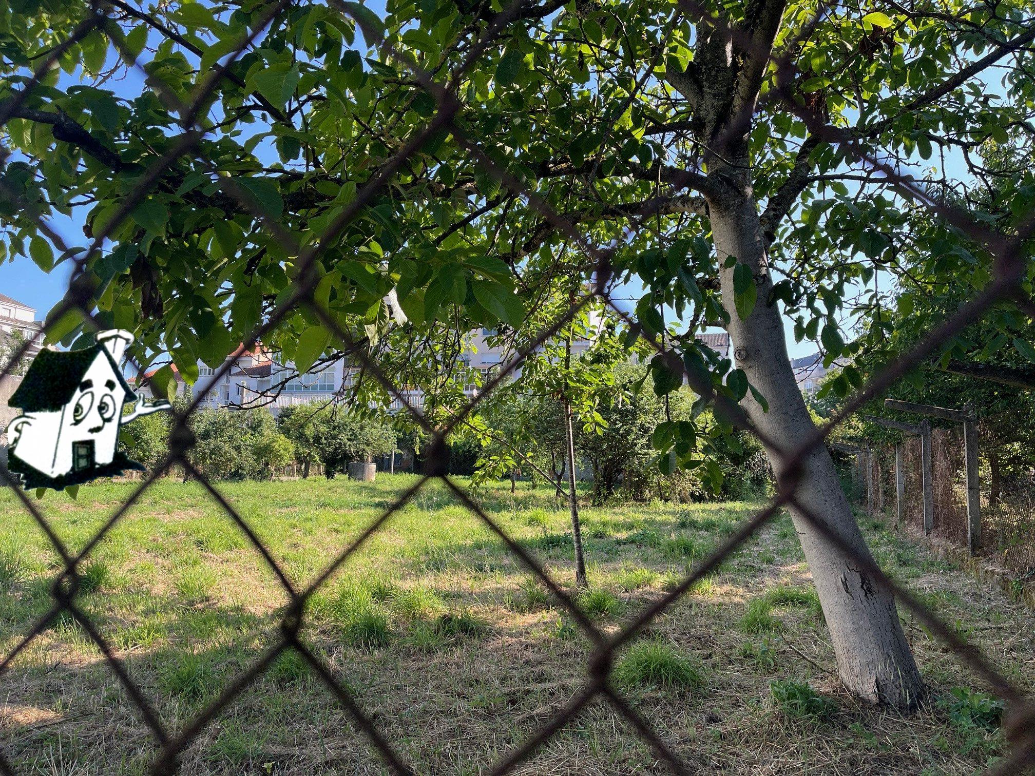 VENTA SOLARES - Imagen 4