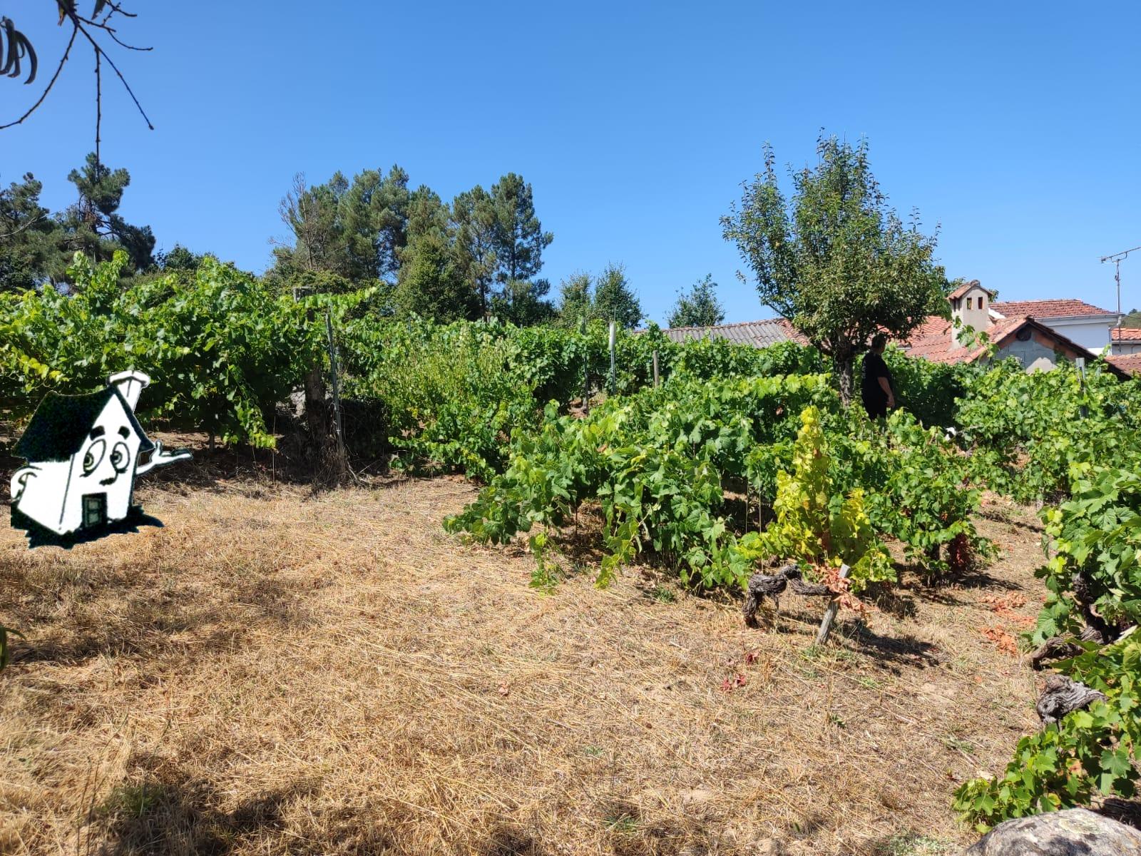 VENTA DE CASA - Imagen 4