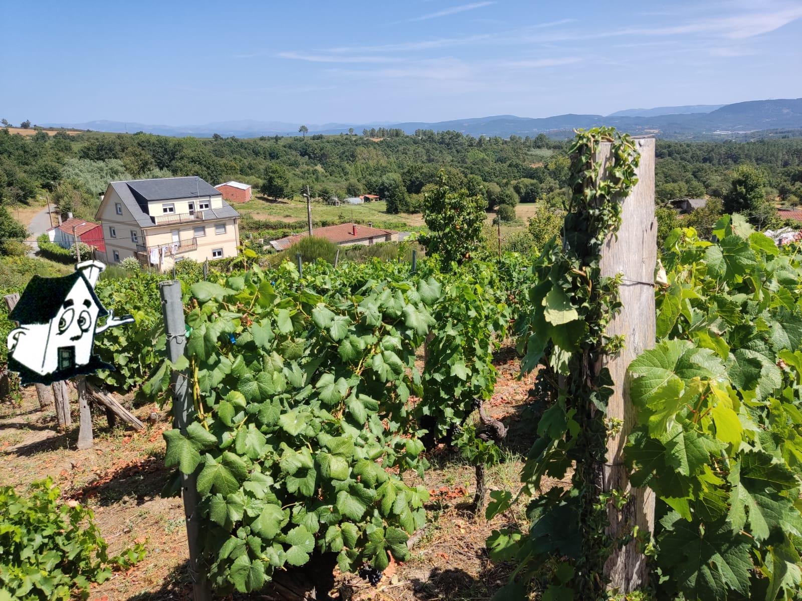 VENTA DE CASA - Imagen 3