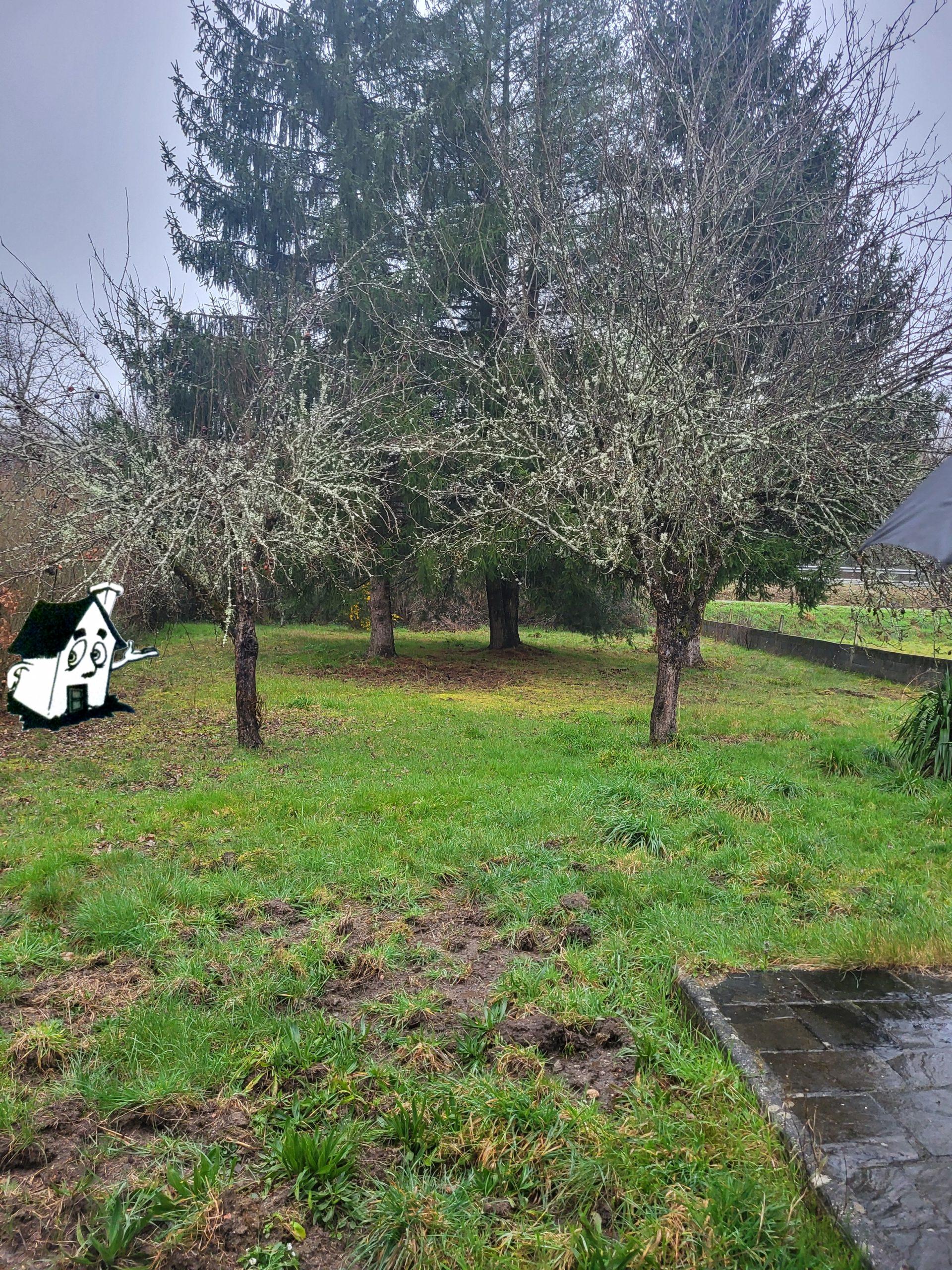 VENTA CASA - Imagen 3