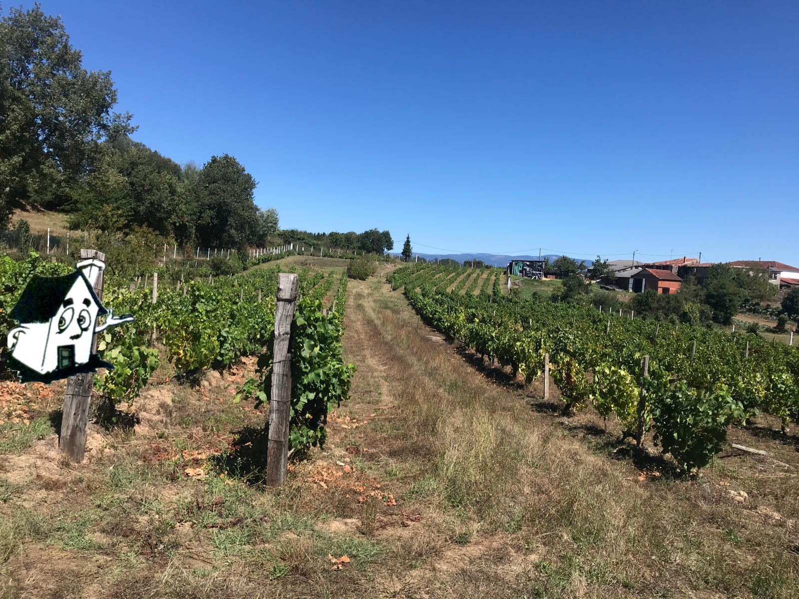 VENTA DE FINCAS - Imagen 2