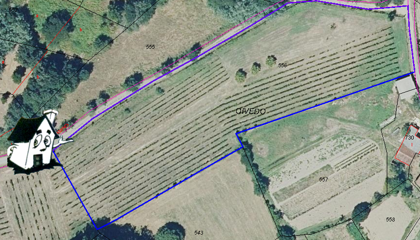 VENTA DE FINCAS - Imagen 4