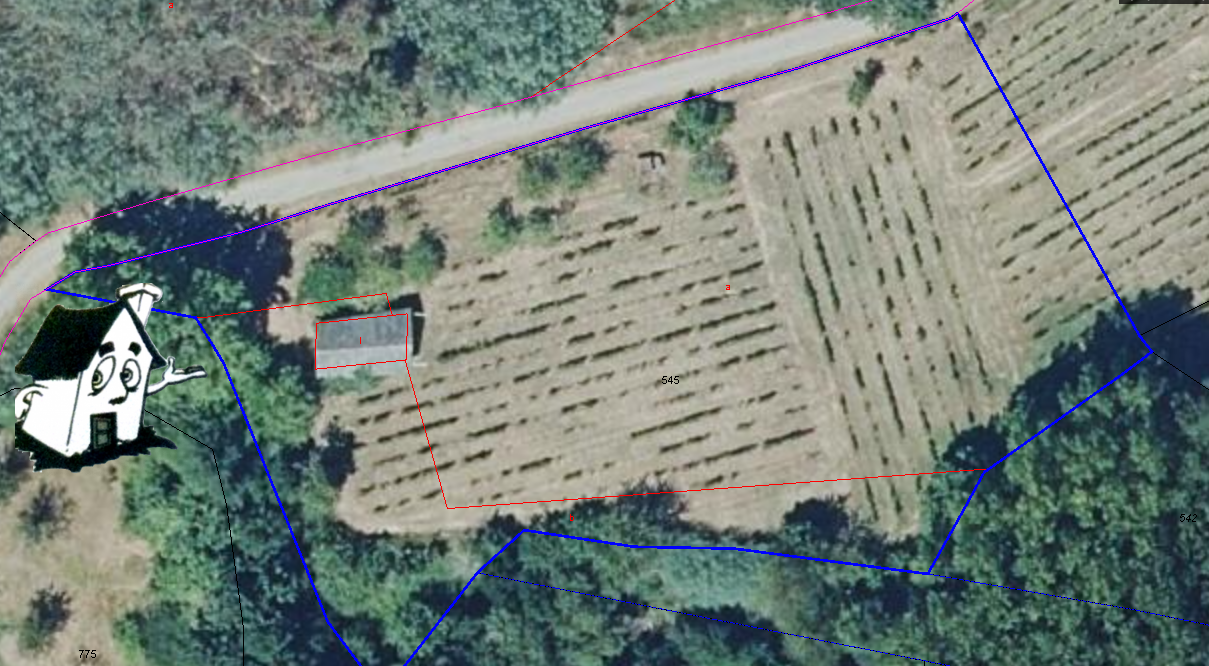 VENTA DE FINCAS - Imagen 5