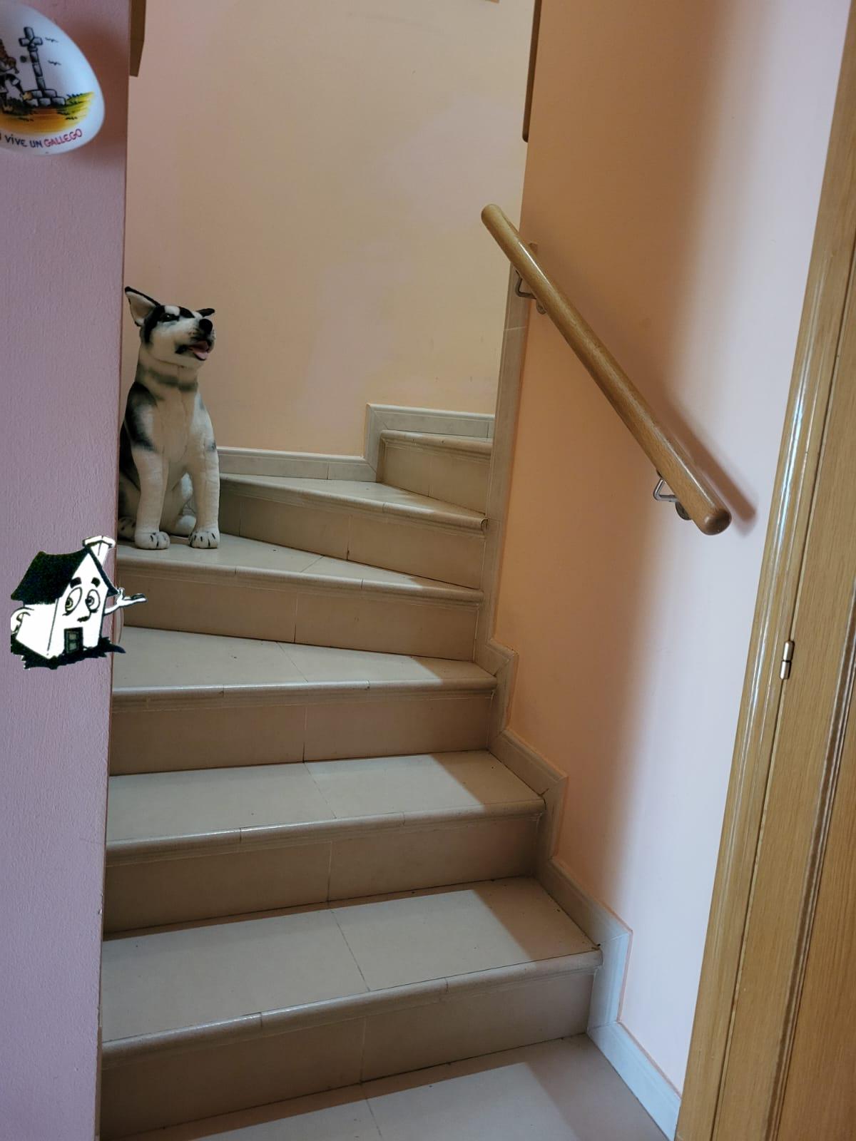 VENTA DE DÚPLEX - Imagen 5