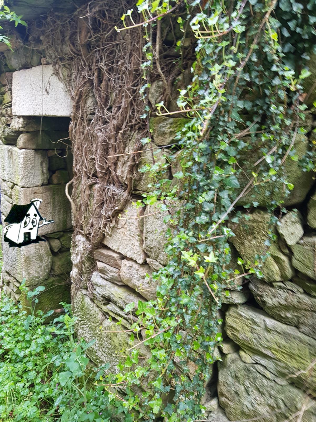 VENTA DE CASA - Imagen 7