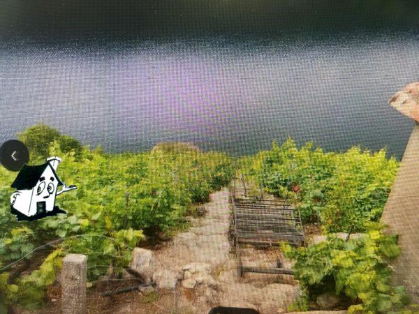 VENTA VIÑEDO RIBEIRA SACRA EN SOBER-AMANDI-MALCAVADA - Imagen 8