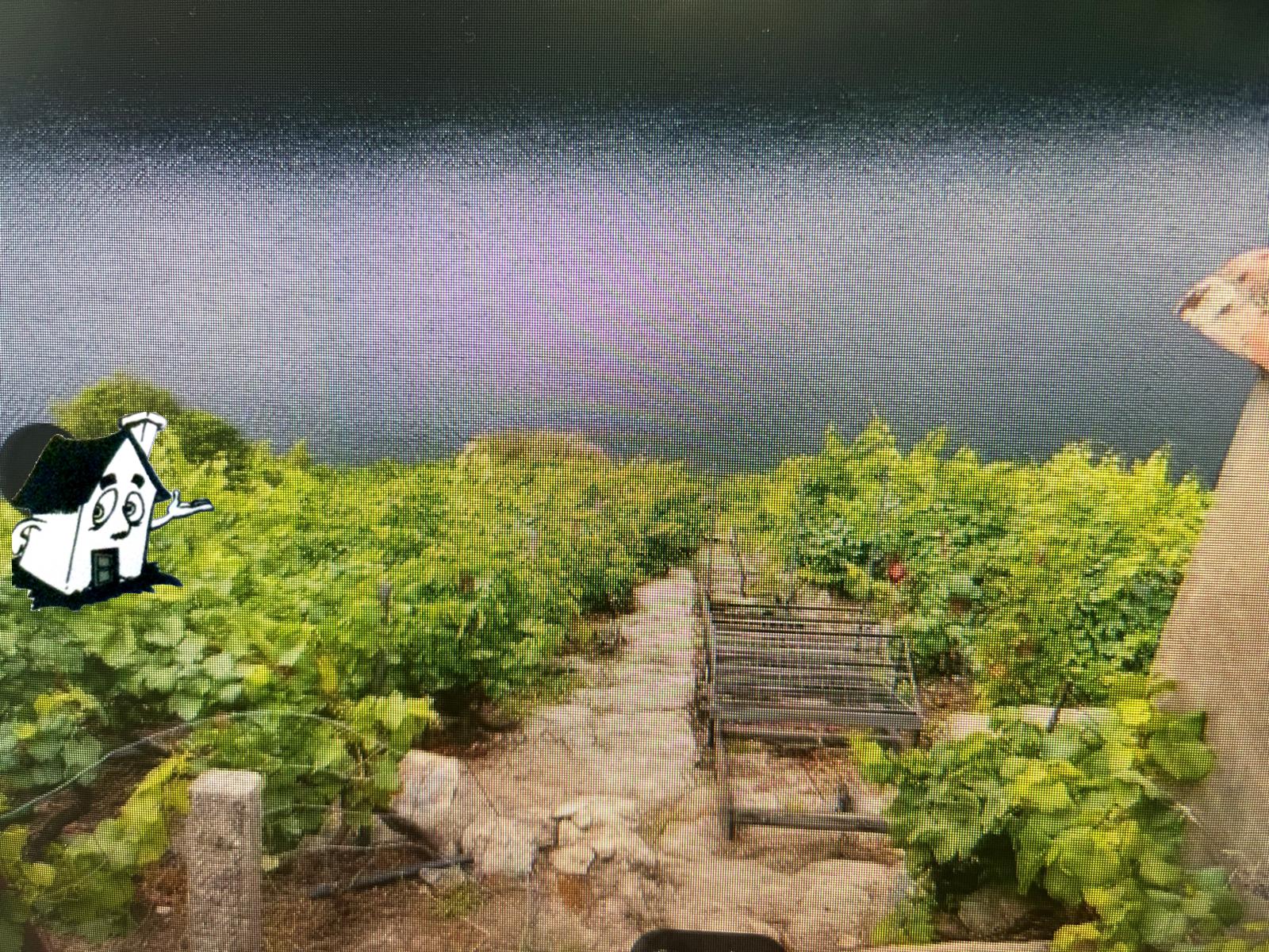 VENTA VIÑEDO RIBEIRA SACRA EN SOBER-AMANDI-MALCAVADA - Imagen 8