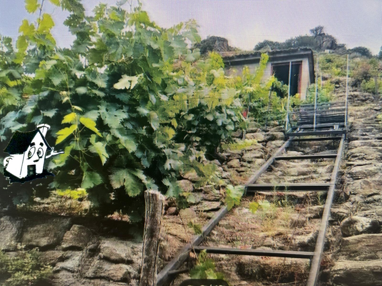 VENTA VIÑEDO RIBEIRA SACRA EN SOBER-AMANDI-MALCAVADA - Imagen 6