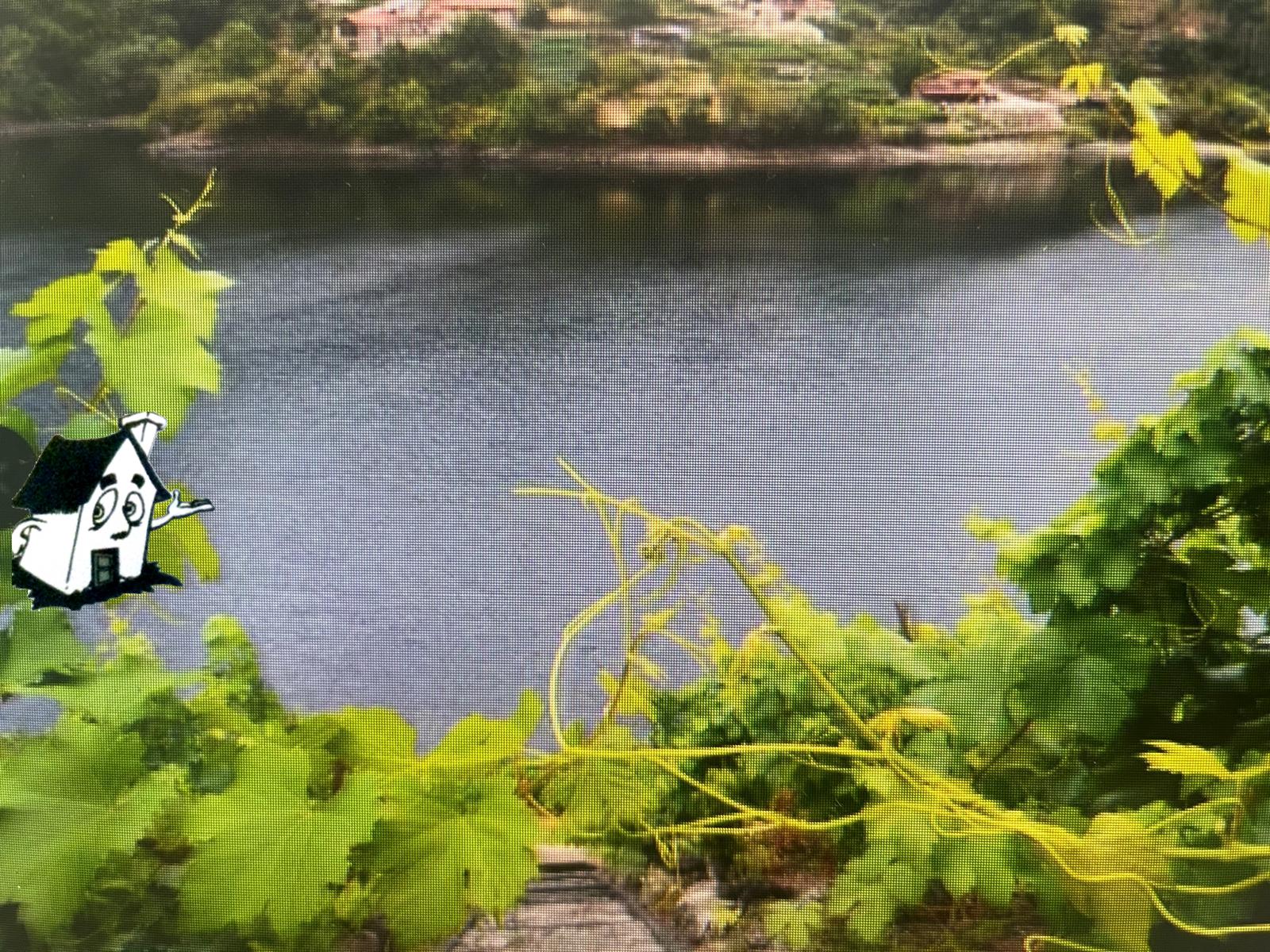 VENTA VIÑEDO RIBEIRA SACRA EN SOBER-AMANDI-MALCAVADA - Imagen 10