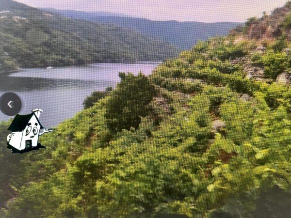 VENTA VIÑEDO RIBEIRA SACRA EN SOBER-AMANDI-MALCAVADA