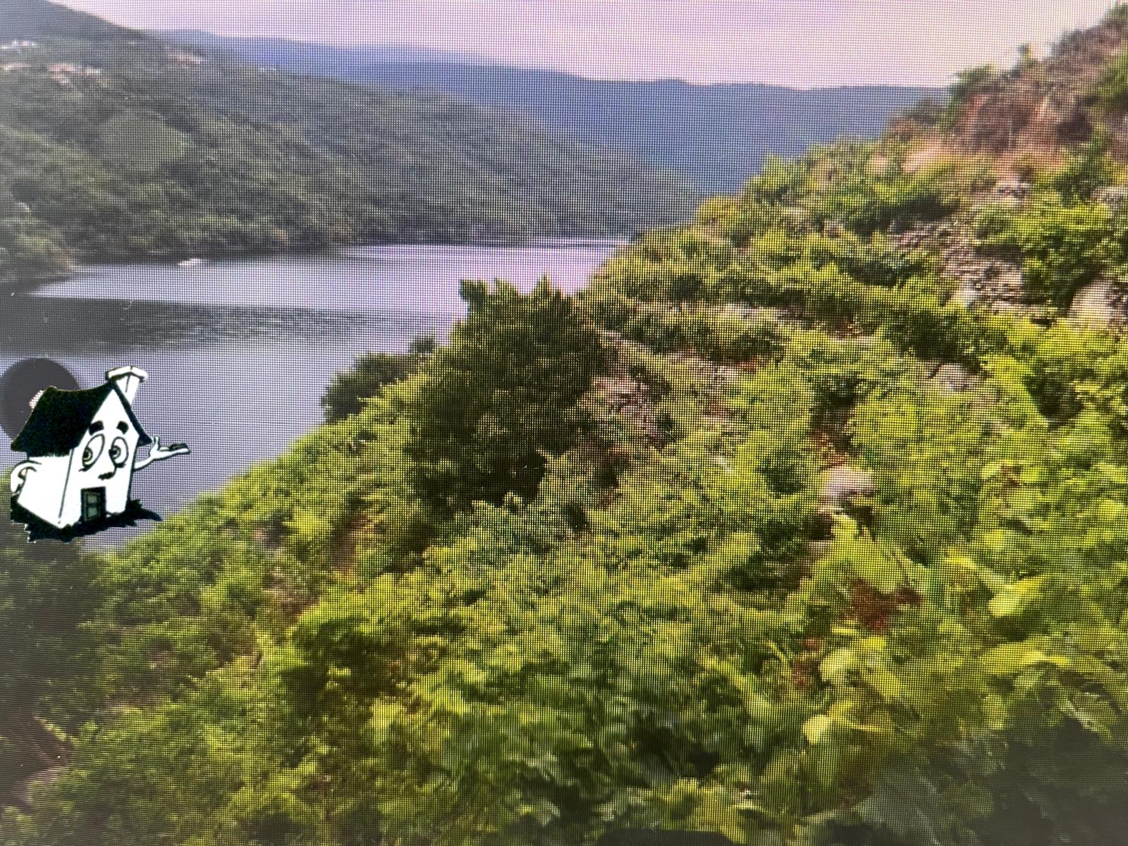 VENTA VIÑEDO RIBEIRA SACRA EN SOBER-AMANDI-MALCAVADA