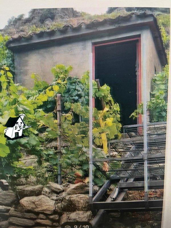 VENTA VIÑEDO RIBEIRA SACRA EN SOBER-AMANDI-MALCAVADA - Imagen 3