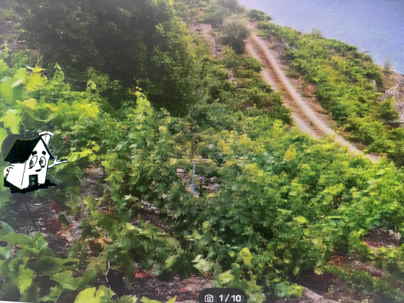 VENTA VIÑEDO RIBEIRA SACRA EN SOBER-AMANDI-MALCAVADA - Imagen 9