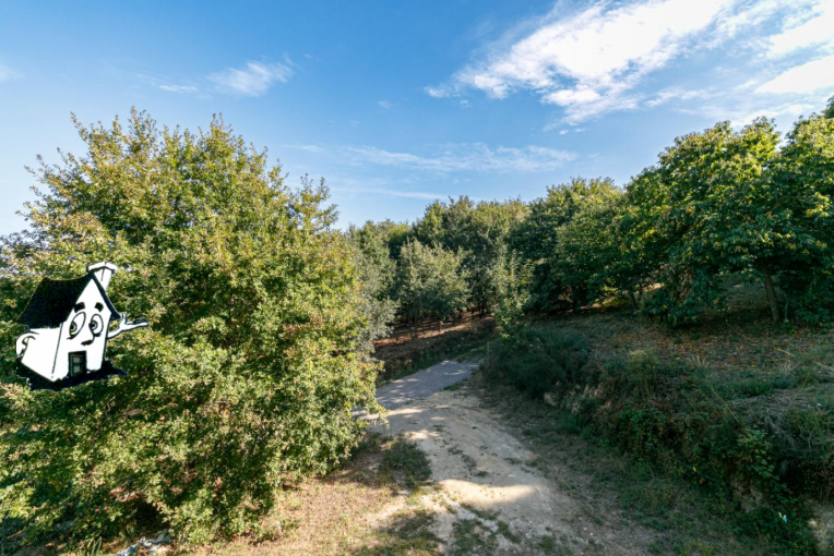 VENTA O ALQUILER DE CHALET CON FINCA 50.000M2 - Imagen 5