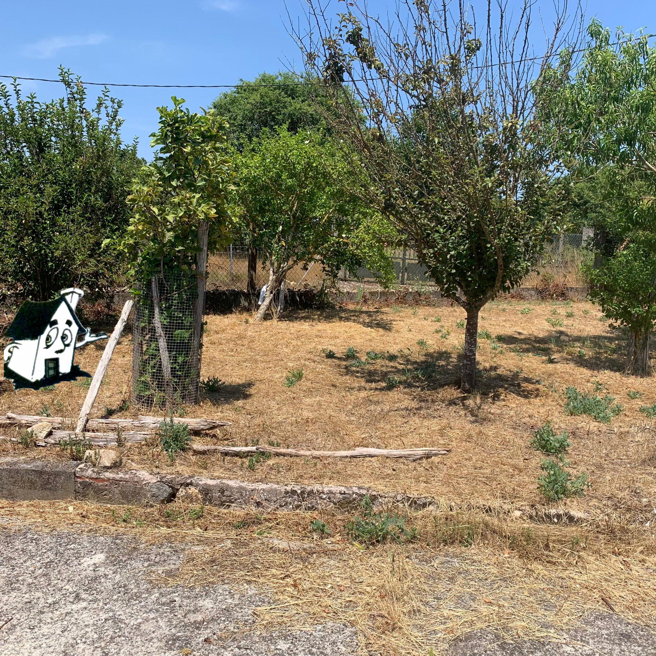VENTA DE CASA CON TERRENO EN O SAVIÑAO - Imagen 2