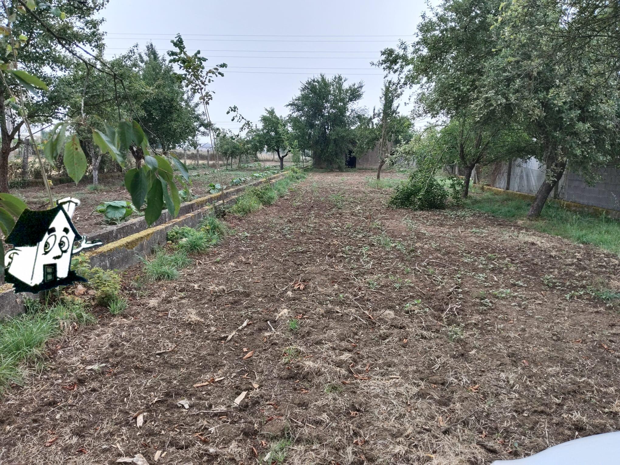 VENTA DE NAVE CON TERRENO - Imagen 2