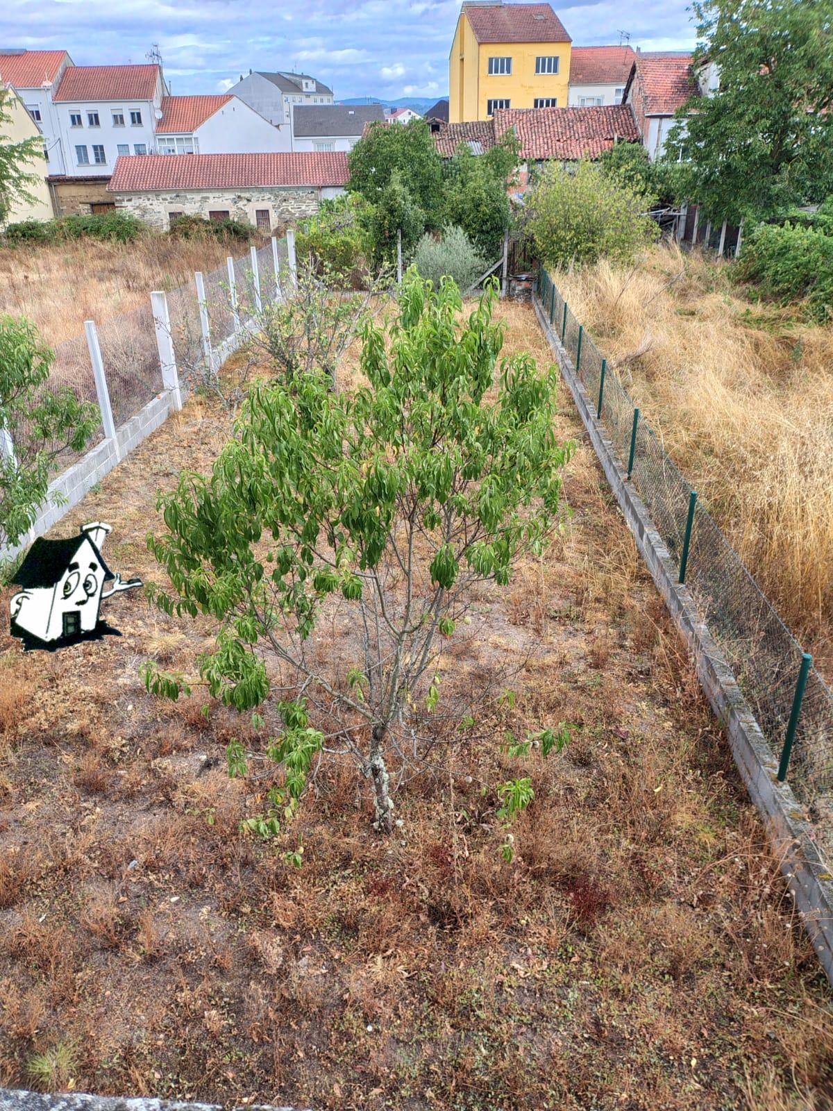 VENTA DE CASA CON TERRENO EN MONFORTE - Imagen 2