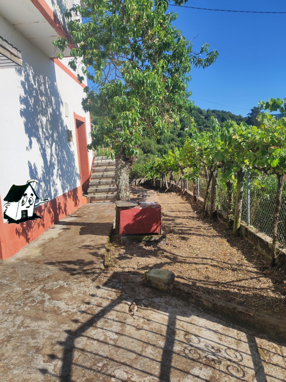 VENTA DE CASA CON TERRENO EN CASTRO DE CALDELAS - Imagen 2