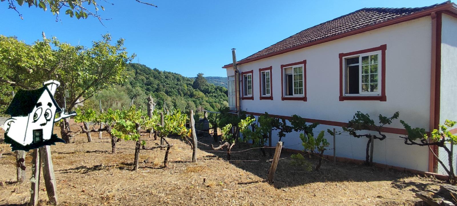 VENTA DE CASA CON TERRENO EN CASTRO DE CALDELAS - Imagen 3